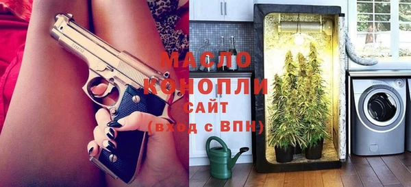 mdpv Инсар