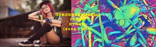 кристаллы Инта
