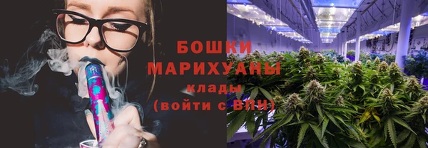 индика Россошь
