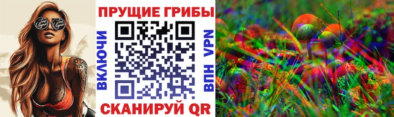Купить  Верея  Псилоцибиновые грибы GOLDEN TEACHER 
